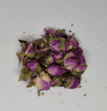 玫瑰桂花（批發）